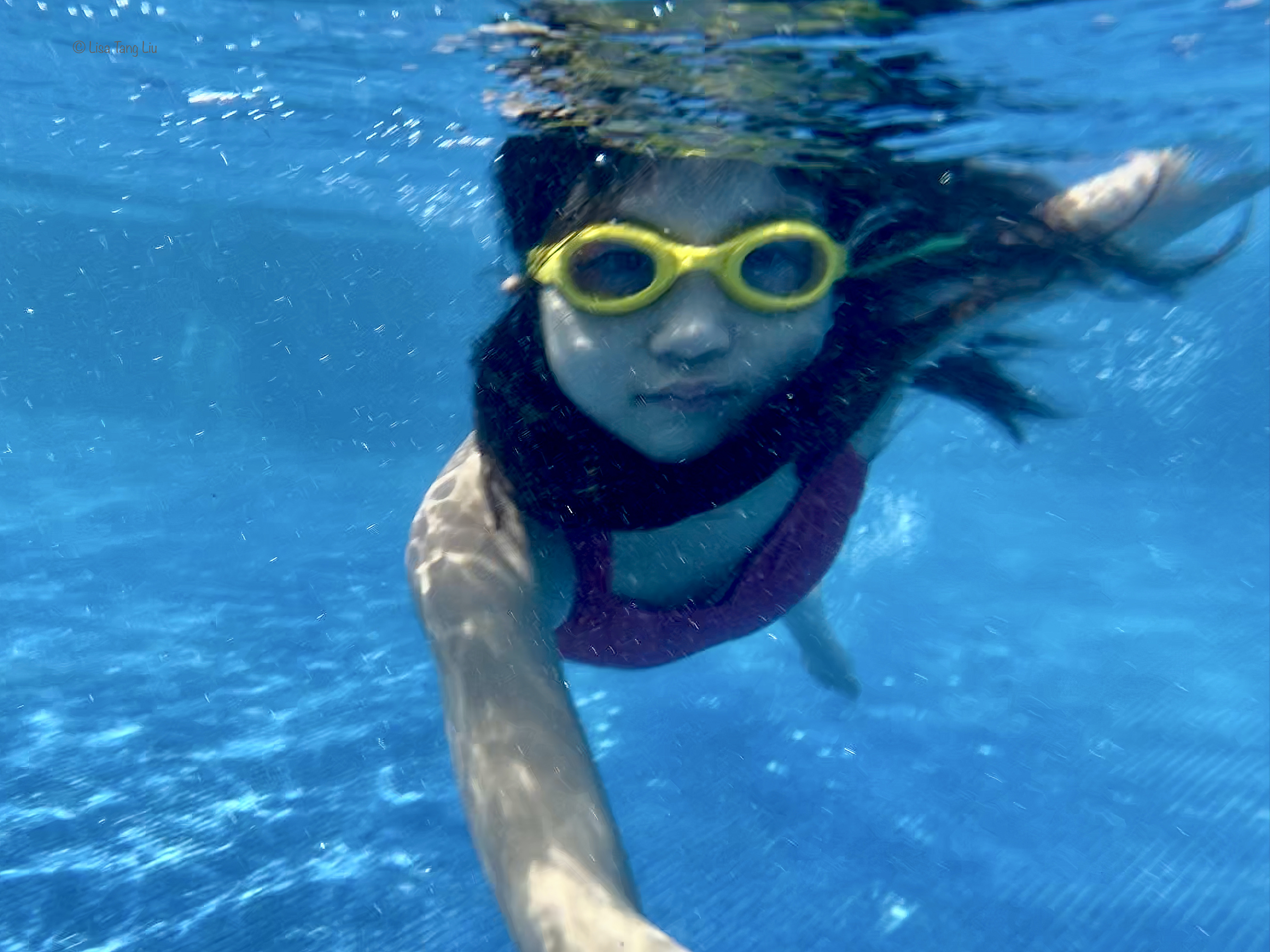 4C839443-1824-43E5-B16B-B4602971F8FD_1_201_a