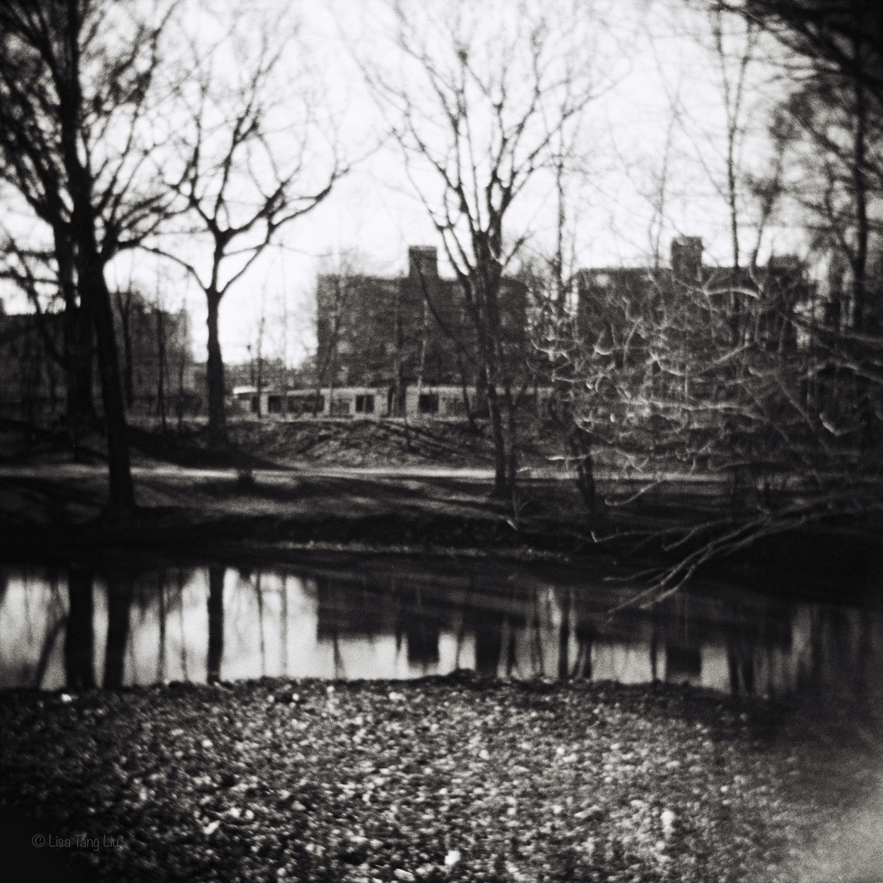 5441D2AA-5E5C-4795-9A48-052936E581FC_1_201_a