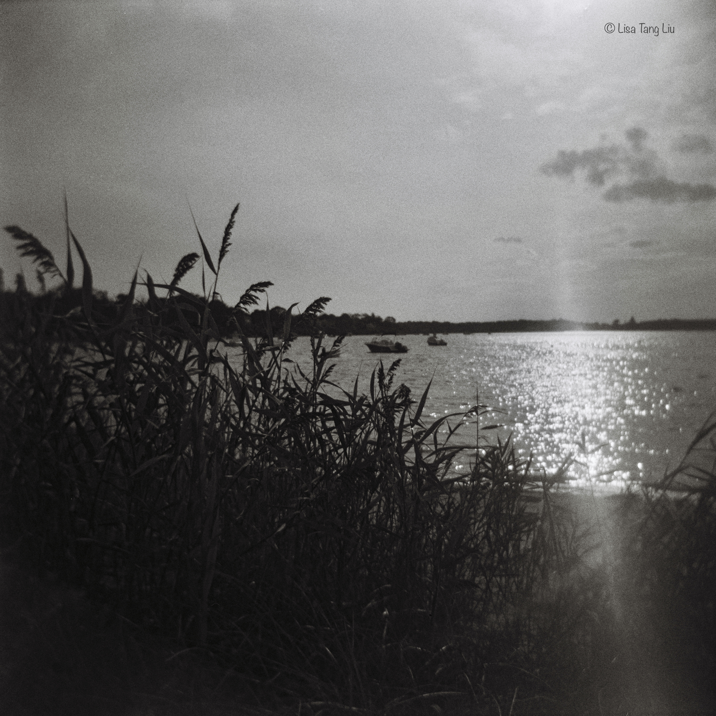 7D6C8F13-71D1-4FFF-B9A0-98EFFBE2FB87_1_201_a