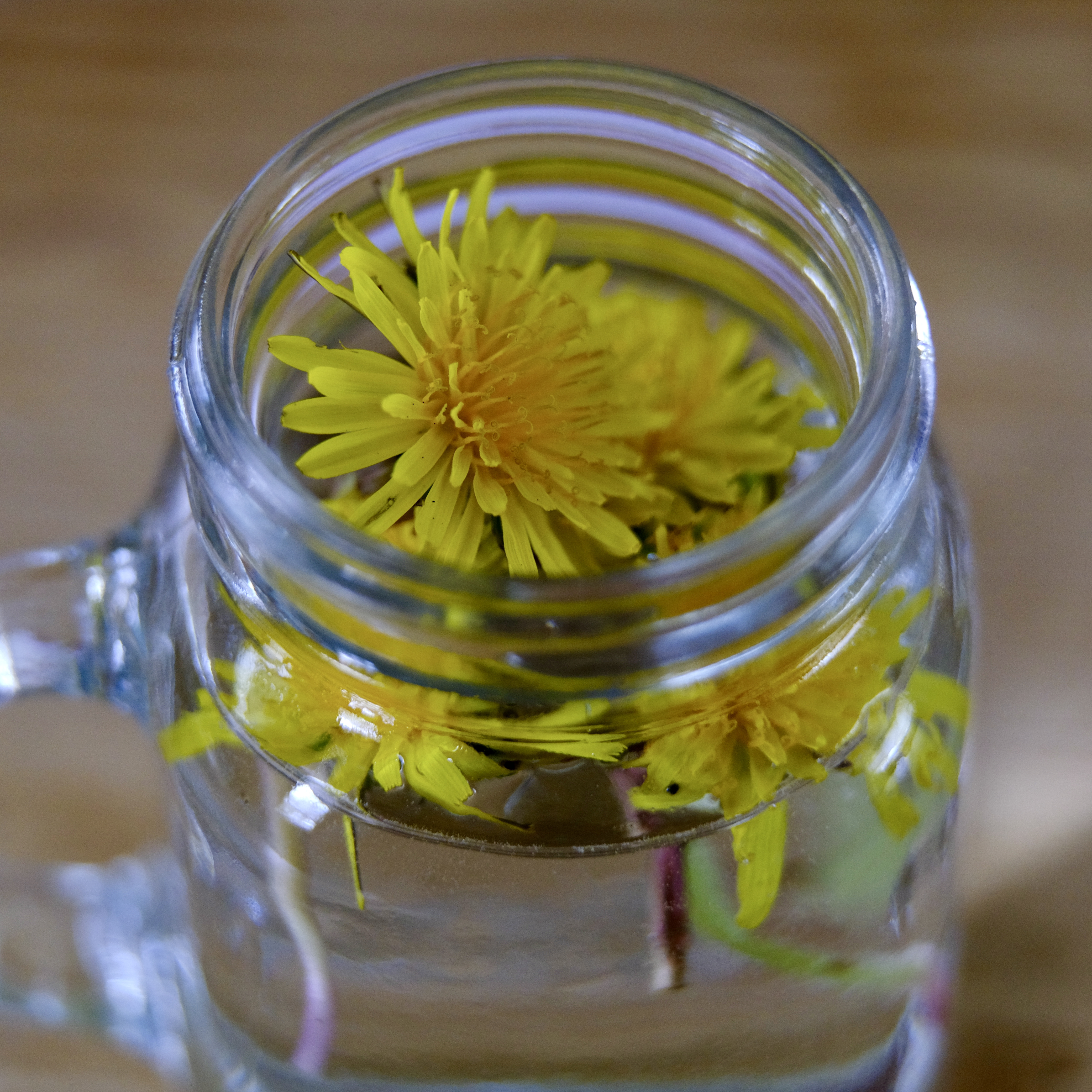 A20170FC-8FDF-4268-94C3-689F02FE3776_1_201_a