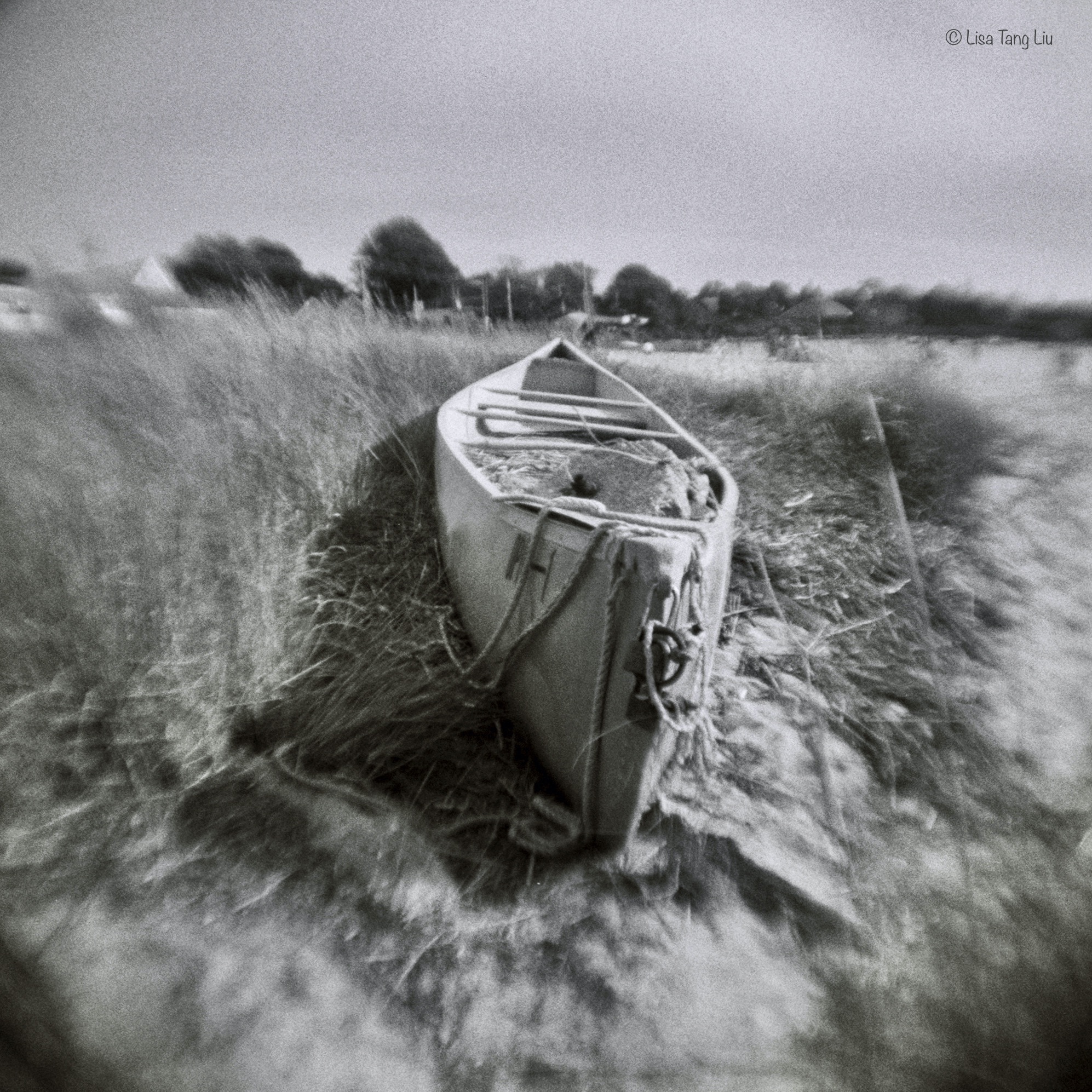 BFA6686C-E8CE-4CF9-9A8B-186021359A7D_1_201_a