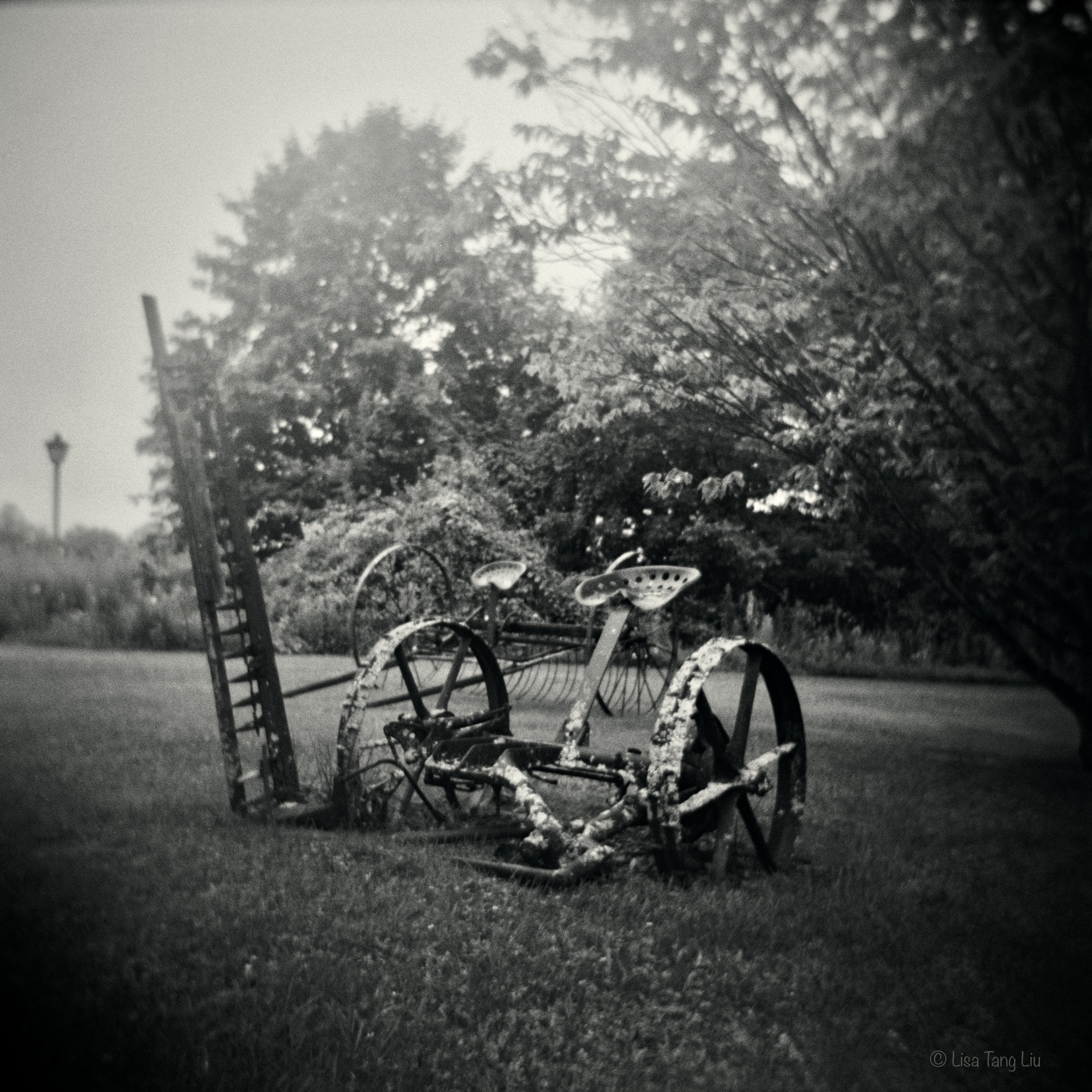 D4B31687-0B8C-485C-AFF0-55E6BFFAB7EA_1_201_a