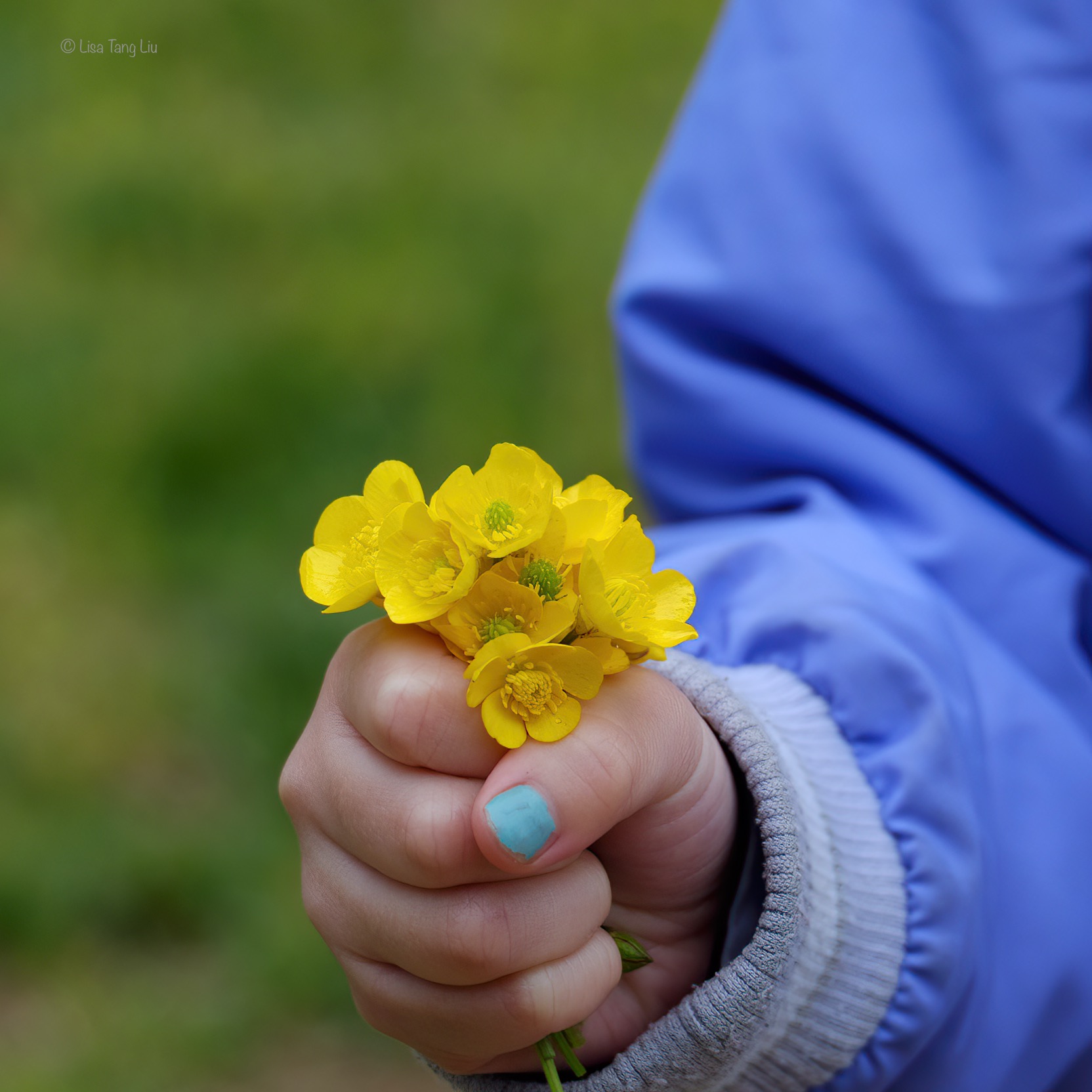 E5C37D51-B33A-42E8-A21C-0B0204299389_1_201_a