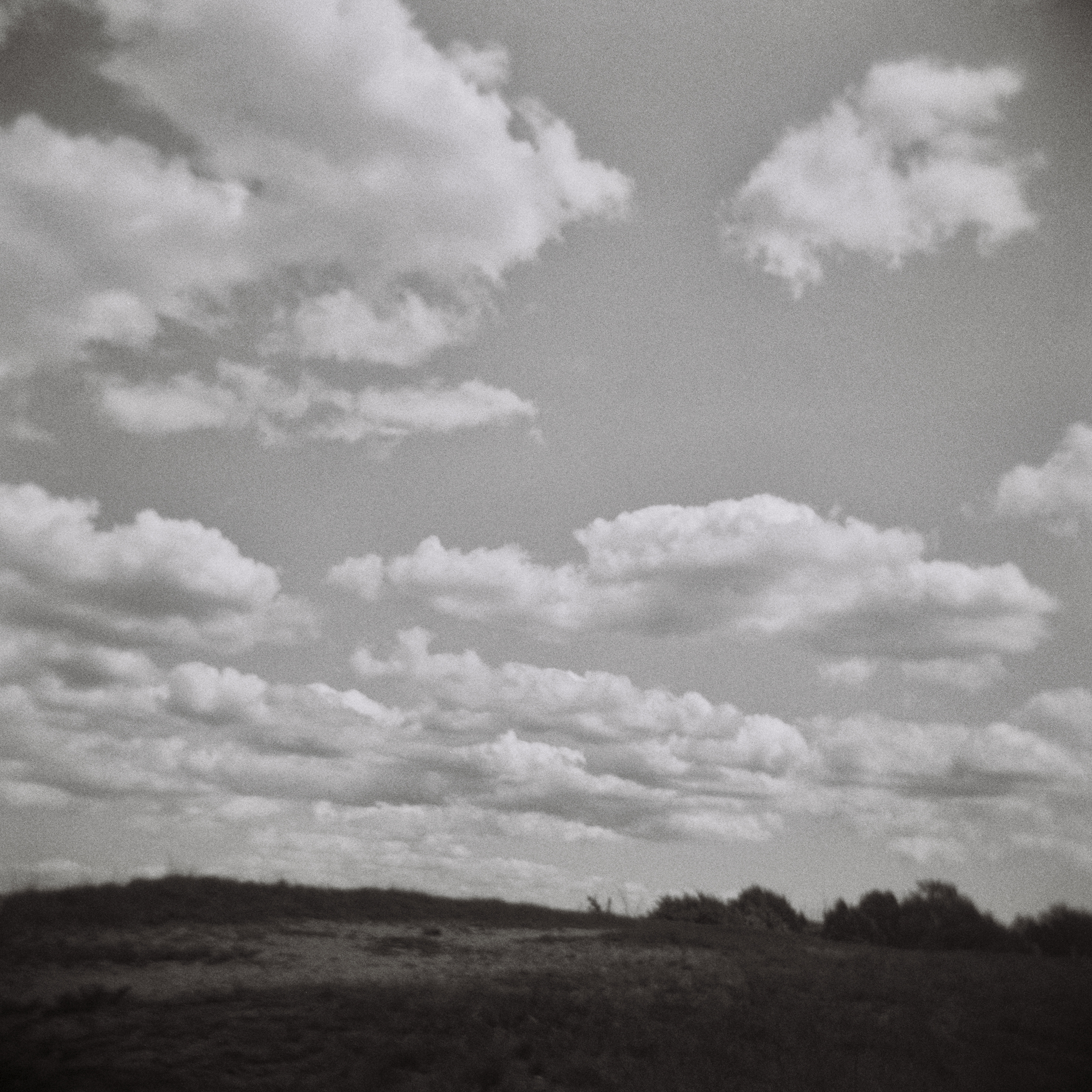 F204FC21-FD96-4815-AF7C-724F99B8D3E7_1_201_a