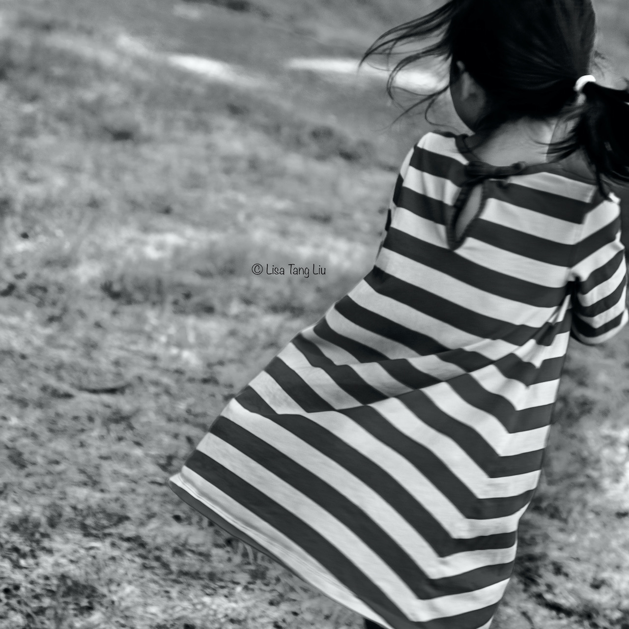 LTangLiu-20160902-1091